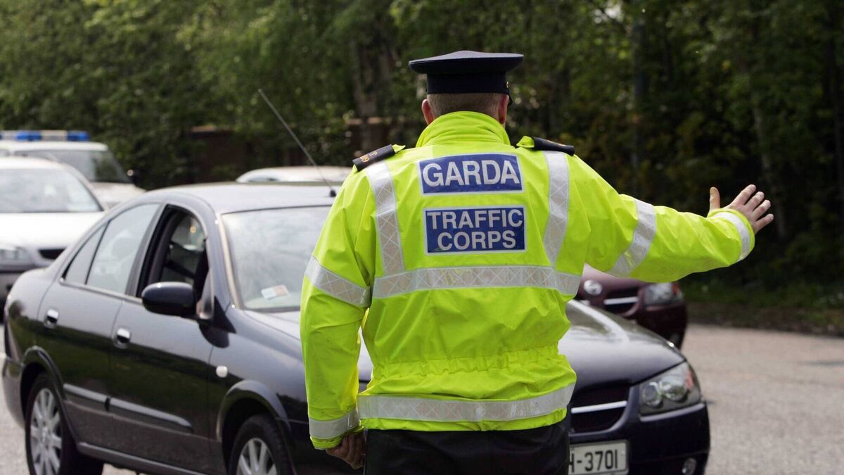 Motorist caught speeding at 167km/hr in an 80km/hr zone on Laois road