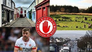 Illegal movement of cattle across Irish border led to 2004 probe, files show