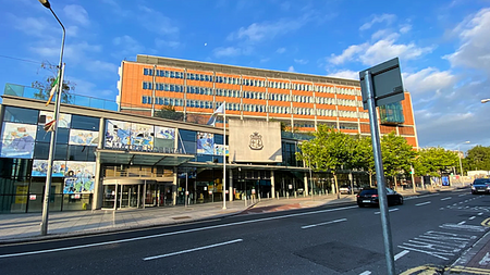 Woman (50s) airlifted to hospital following incident with pit bull terrier