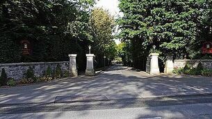 Dublin airport passengers buy equivalent weight of humpback whale in Toblerone this year