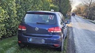 <p>The driver tested positive for cocaine, after doing 141kph in a 50kph zone. Photo: An Garda Síochána Laois Offaly </p>