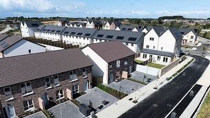 Ex-Clare TD Violet Anne Wynne paying off €6,500 debt ‘with whatever little income’ she has