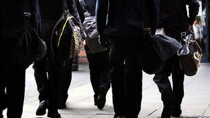 Mercosur threatens the fabric of rural Ireland, says youth organisation