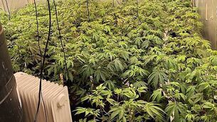 ‘Dublin Nights Mapped’ launches, offering interactive evening guide to the city ‘Dublin Nights Mapped’ launches, offering interactive evening guide to the city