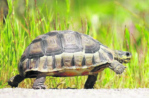 Fr Paddy Byrne: Let’s make 2026 a year in which we try to slow down - News - Laois Nationalist