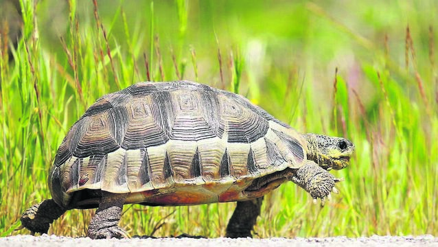 Fr Paddy Byrne: Let’s make 2026 a year in which we try to slow down