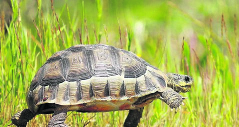 Fr Paddy Byrne: Let’s make 2026 a year in which we try to slow down