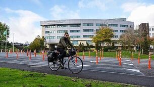 Electric Picnic attendees advised to look after their 'festival health'