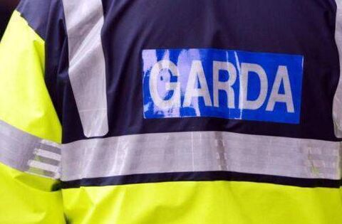 Woman admits taking dump in garda van – but she wasn’t in court for that! - Courts - Laois Nationalist