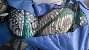 Both Laois teams still in the promotion hunt