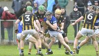 A weary Laois are no match for the fresh Cats 