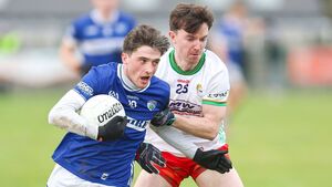 Hulton goal proves decisive as Carlow edge out Laois 