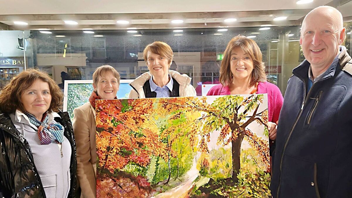 Laois artist's ‘Colours’ exhibition brighten up Abbeyleix Library 