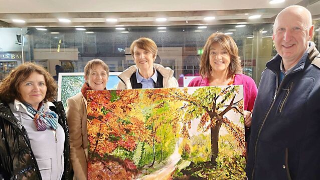 Laois artist's ‘Colours’ exhibition brighten up Abbeyleix Library 
