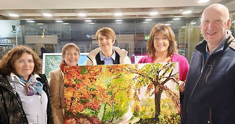Laois artist's ‘Colours’ exhibition brighten up Abbeyleix Library 