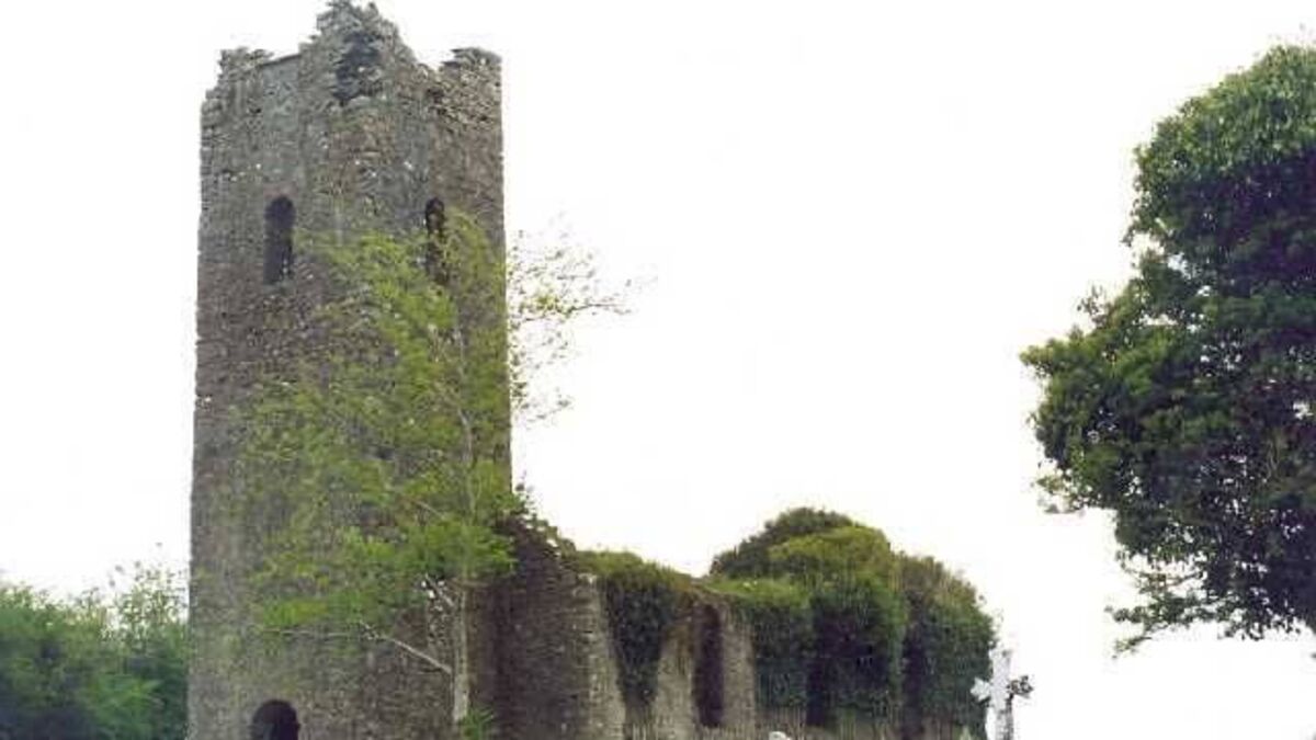 Laois funeral director verbally abused in local cemetery