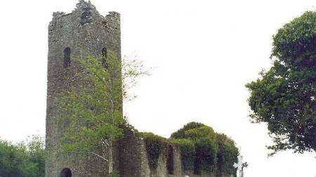 Laois funeral director verbally abused in local cemetery