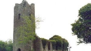 Laois funeral director verbally abused in local cemetery