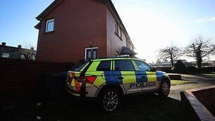 17-year-old Ukrainian boy killed in violent incident at Tusla care facility