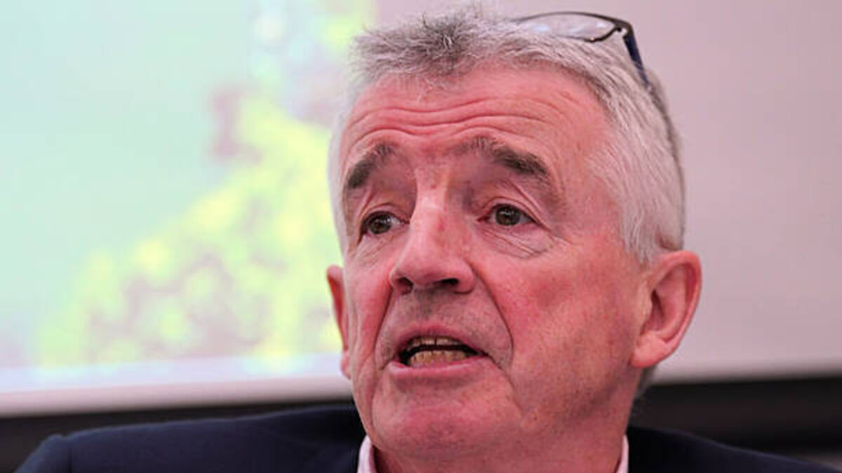 Michael O'Leary calls Musk an 'idiot' and tells people 'pay him no attention'