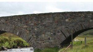 Historic Laois bridge in danger of collapse