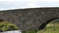 Historic Laois bridge in danger of collapse 