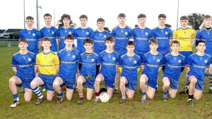 Delaney’s late point sees Mountmellick CS crowned South Leinster champions