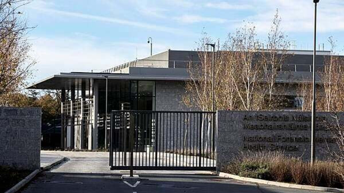 Mother was not insane at time she allegedly attacked daughter with knife, psychiatrist tells trial