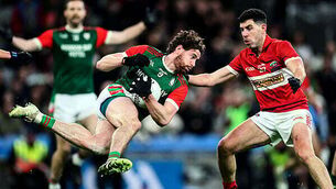 Tadhg Beirne and Garry Ringrose sign central contract extensions