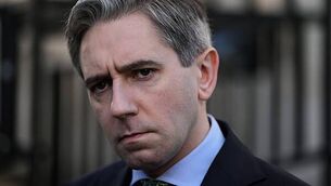 Call for ‘vigilance’ after first confirmed sightings of Asian hornets in NI