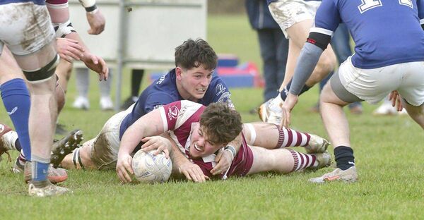 Fintan Murphy grounds this ball for a try for Portarlington as Cormac Rigney (Portlaoise) tackles 	Photo: Denis Byrne