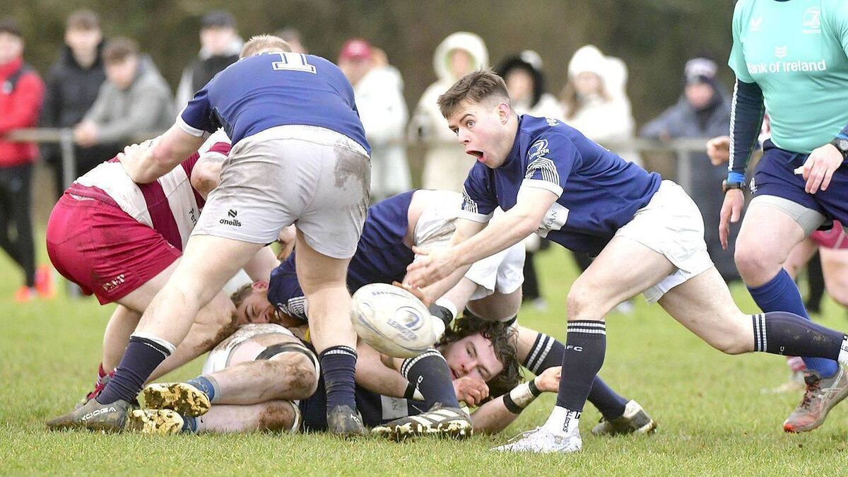 Laois rivals serve up a cracking game with the honours just about going to the Navy Blues