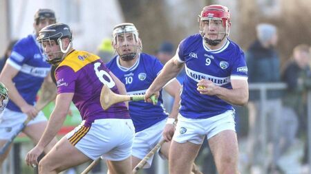Dooley says Laois can take inspiration off Kildare