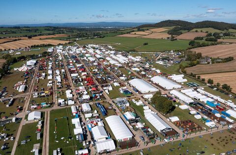 Mr Feeney is nothing short of a thug, and a recidivist thug’ – Judge Andrew Cody