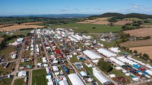 <p>The assault took place outside the Heineken tent at the 2024 Ploughing Championships at Ratheniska </p>