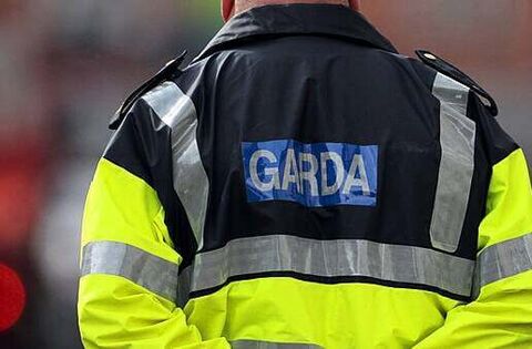 Garda operation results in deportation of 25 non-Irish sex offenders