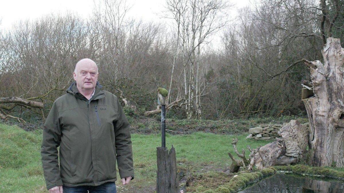 Laois man's wildlife photography business ‘hides’ in plain sight