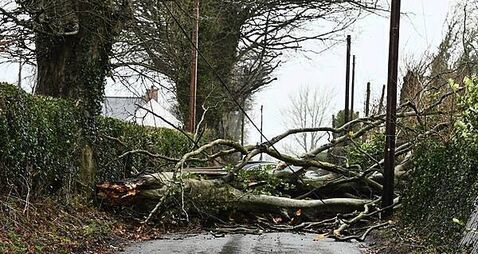 Homes worst impacted by Storm Éowyn dealing with constant power cuts
