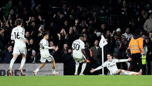 Explained: How does the Tailteann Cup work and who is in it? Explained: How does the Tailteann Cup work and who is in it?