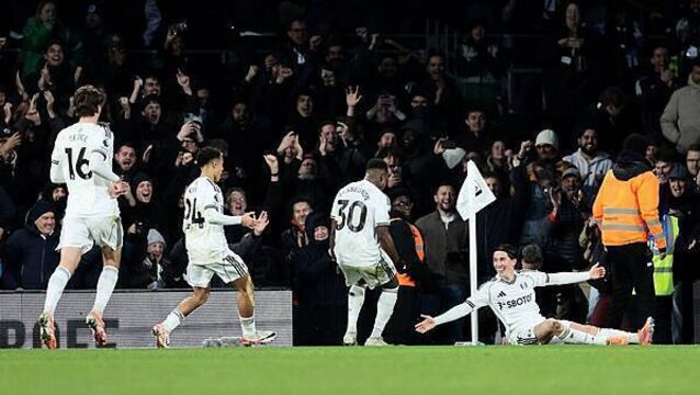 Harry Wilson free-kick snatches dramatic late win for Fulham over Brighton