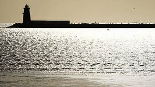 GardaÍ still not tested for drugs almost five years after policy announcement