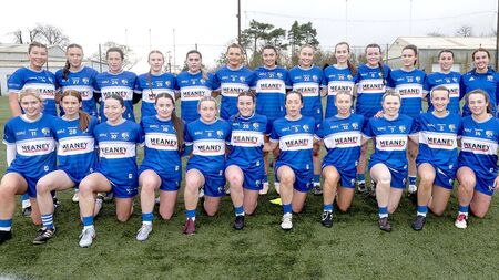 Debut delight for Branagan as Laois and Fermanagh ends all square