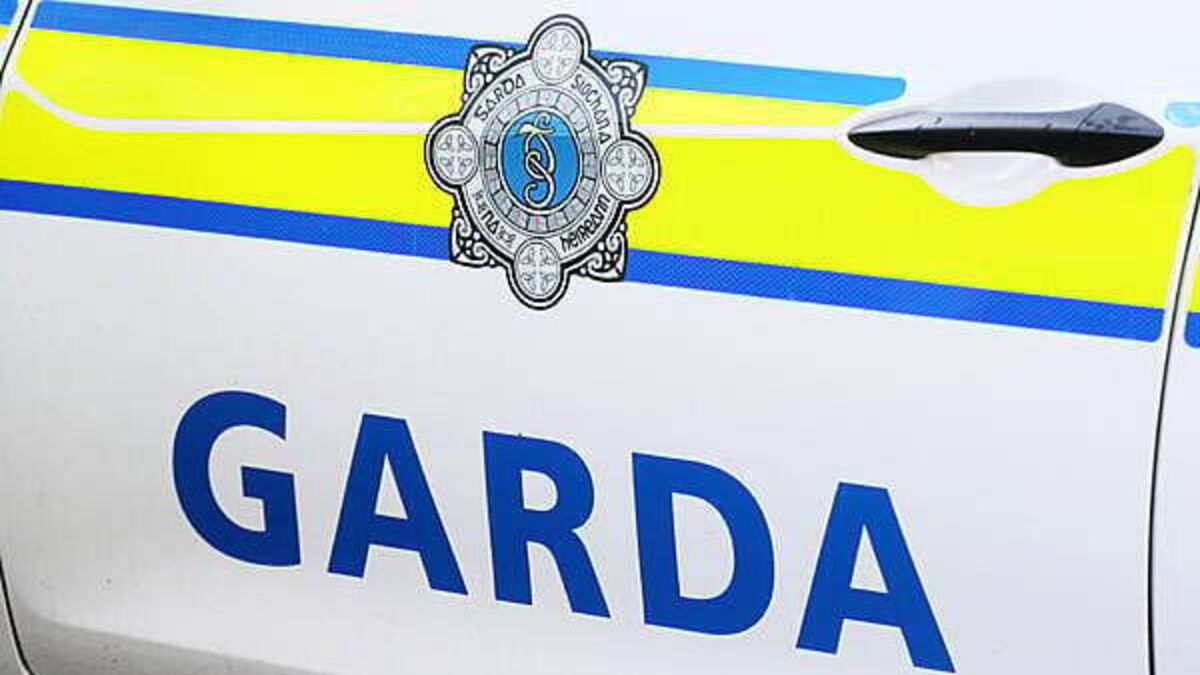 Pedestrian (50s) dies in road accident in Co Kildare