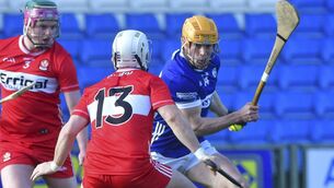 <p>James Keyes (Laois) in possession at Laois Hire O'Moore Park Photo: Denis Byrne</p>
