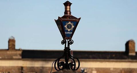 Garda who slammed handcuffed teenager's head off the ground is jailed for a year