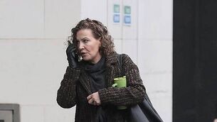 Alligator at Kilkenny zoo filmed stalking and lunging at camera