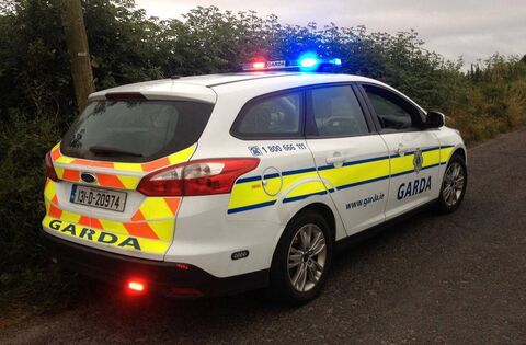 Portlaoise driver gave dead man’s name to gardaí  - Courts - Laois Nationalist