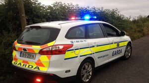 Portlaoise driver gave dead man’s name to gardaí