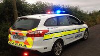 Portlaoise driver gave dead man’s name to gardaí 