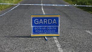 Research centre added €756 million to economy, according to report